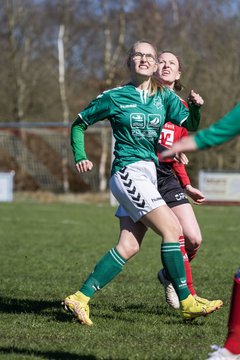 Bild 251 - F SG NieBar - IF Stjernen Flensborg : Ergebnis: 4:1